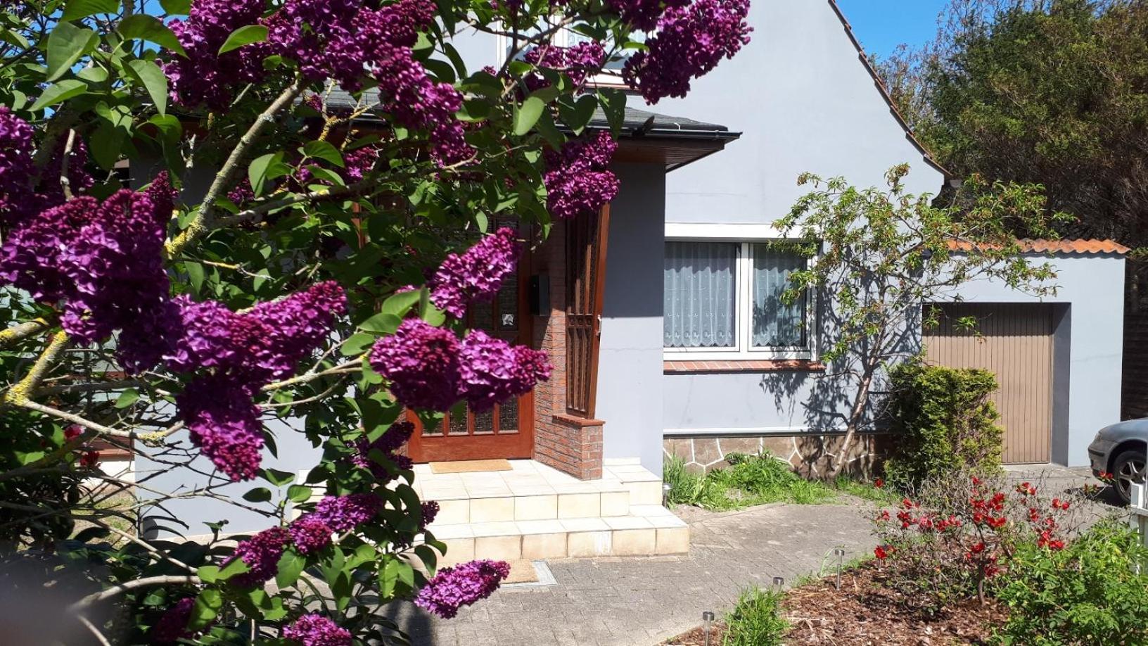 Ferienhaus Zur Waldfee 库克斯港 外观 照片